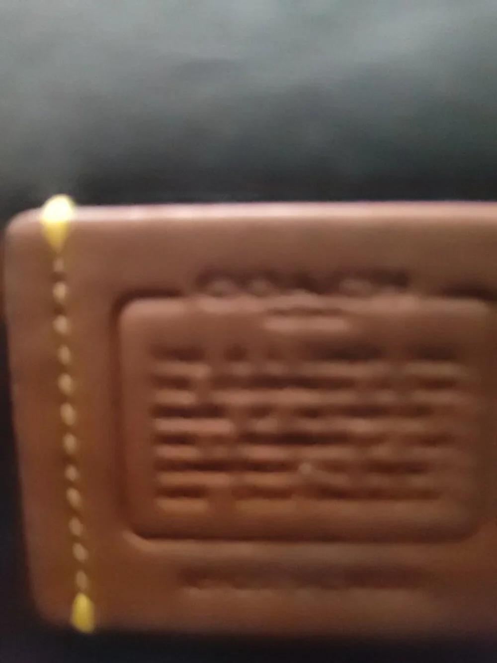 Coach Hadley Convertible Crossbody
